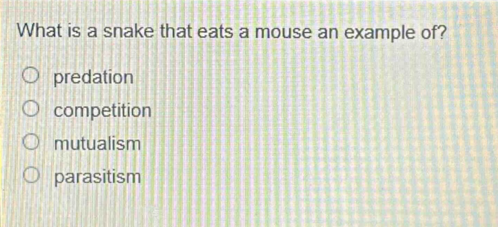 what is a snake that eats a mouse an example of?\no predation\no competition\no mutualism\no parasitism