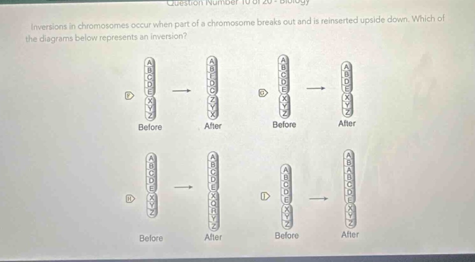 inversions in chromosomes occur when part of a chromosome breaks out and is reinserted upside down. which of the diagrams below represents an inversion?