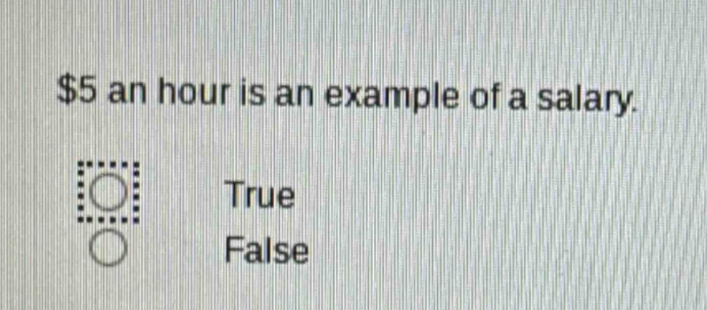 $5 an hour is an example of a salary. true false