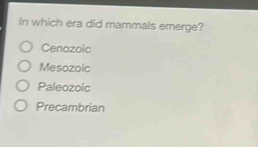 in which era did mammals emerge?\n○ cenozoic\n○ mesozoic\n○ paleozoic\n○ precambrian