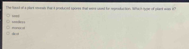 the fossil of a plant reveals that it produced spores that were used for reproduction. which type of plant was it?\nseed\nseedless\nmonocot\ndicot