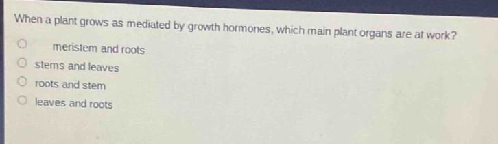 when a plant grows as mediated by growth hormones, which main plant organs are at work?\nmeristem and roots\nstems and leaves\nroots and stem\nleaves and roots