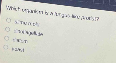 which organism is a fungus - like protist?\nslime mold\ndinoflagellate\ndiatom\nyeast