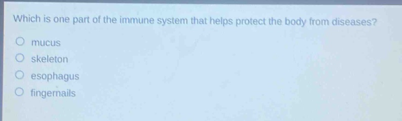 which is one part of the immune system that helps protect the body from diseases?\n mucus\n skeleton\n esophagus\n fingernails