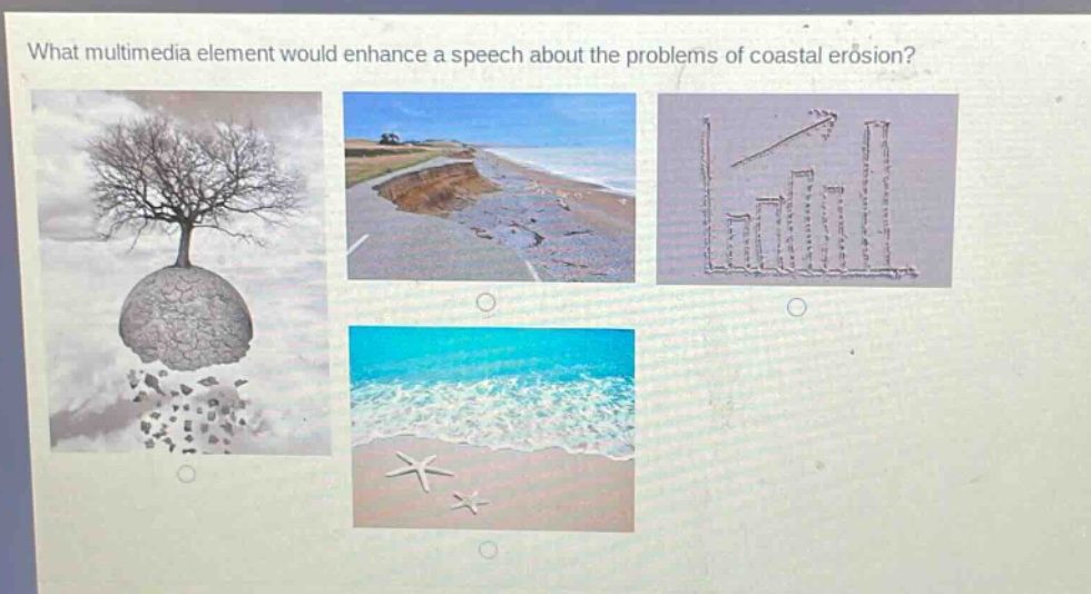 what multimedia element would enhance a speech about the problems of coastal erosion?