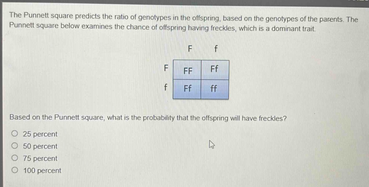 the punnett square predicts the ratio of genotypes in the offspring, based on the genotypes of the parents. the punnett square below examines the chance of offspring having freckles, which is a dominant trait. based on the punnett square, what is the probability that the offspring will have freckles? 25 percent 50 percent 75 percent 100 percent