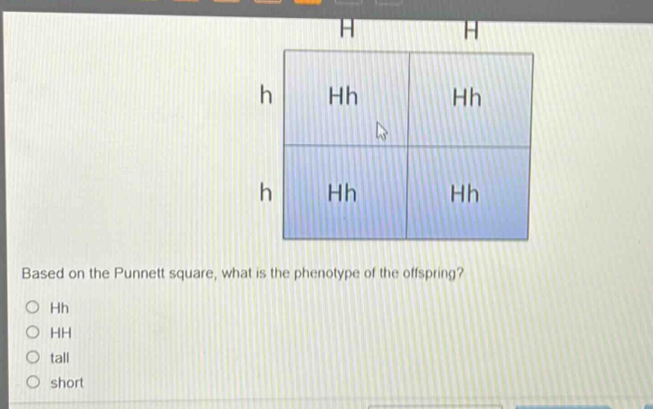 based on the punnett square, what is the phenotype of the offspring?\no hh\no hh\no tall\no short