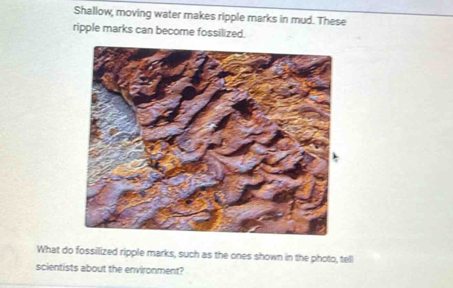 shallow, moving water makes ripple marks in mud. these ripple marks can become fossilized. what do fossilized ripple marks, such as the ones shown in the photo, tell scientists about the environment?