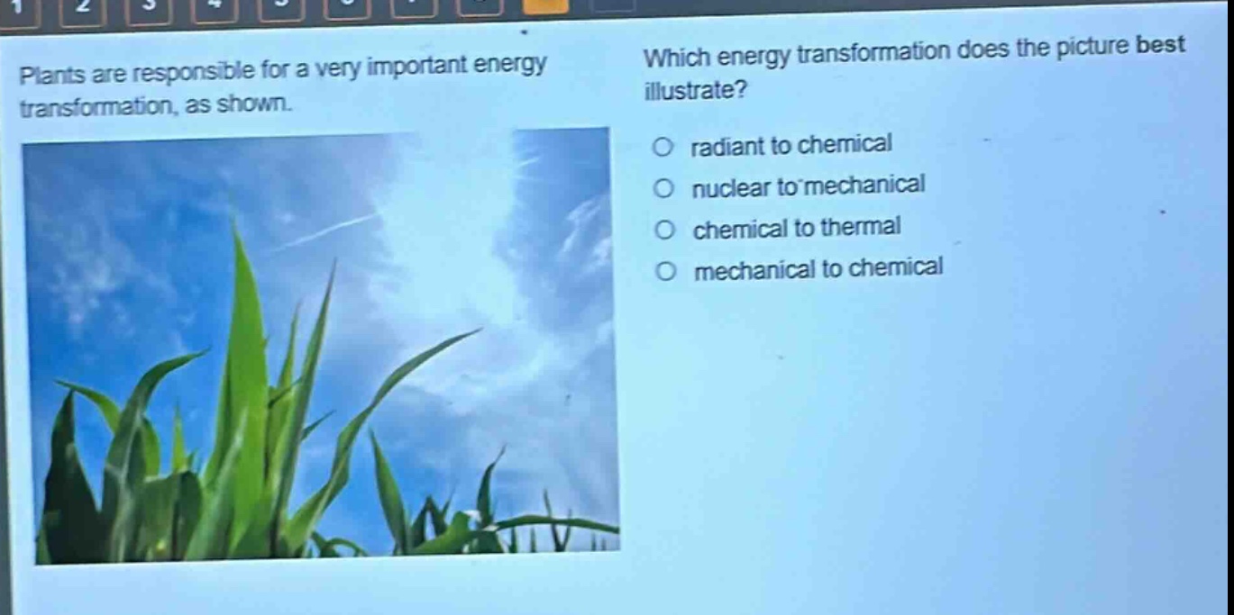plants are responsible for a very important energy transformation, as shown. which energy transformation does the picture best illustrate? radiant to chemical nuclear to mechanical chemical to thermal mechanical to chemical