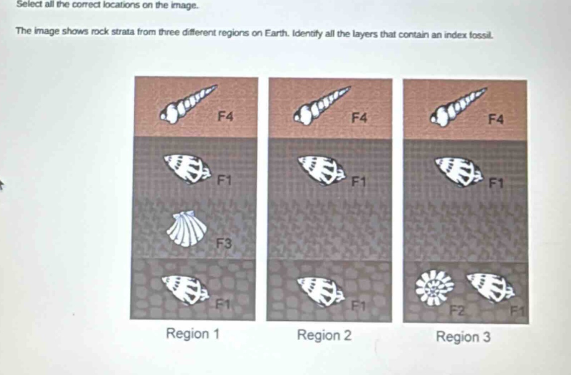 select all the correct locations on the image. the image shows rock strata from three different regions on earth. identify all the layers that contain an index fossil.