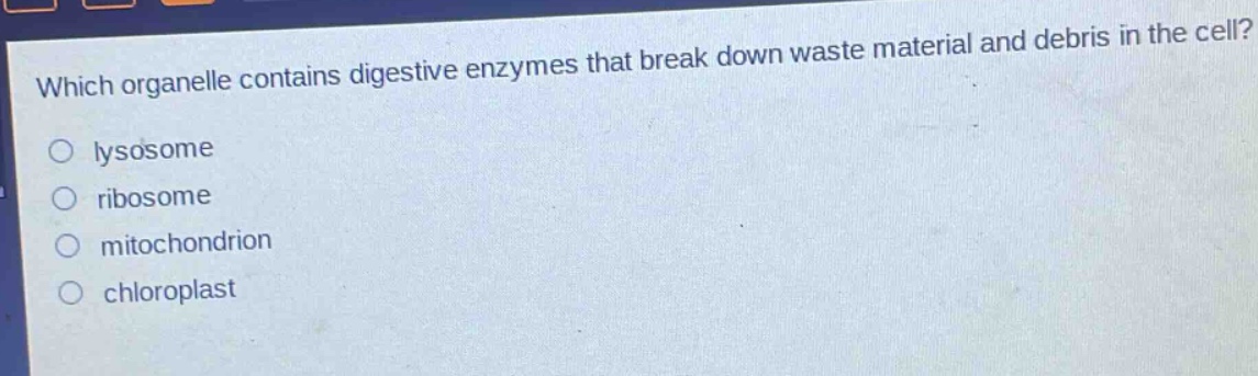 which organelle contains digestive enzymes that break down waste material and debris in the cell?\no lysosome\no ribosome\no mitochondrion\no chloroplast
