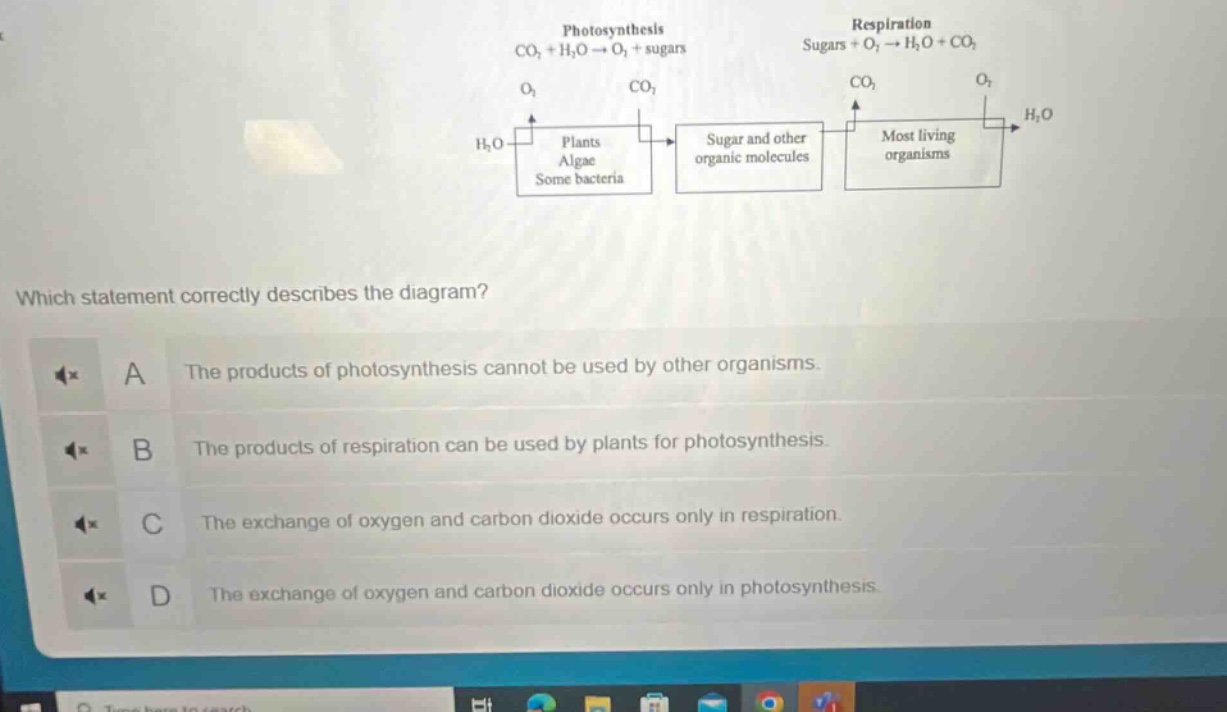 which statement correctly describes the diagram? a the products of photosynthesis cannot be used by other organisms. b the products of respiration can be used by plants for photosynthesis. c the exchange of oxygen and carbon dioxide occurs only in respiration. d the exchange of oxygen and carbon dioxide occurs only in photosynthesis.