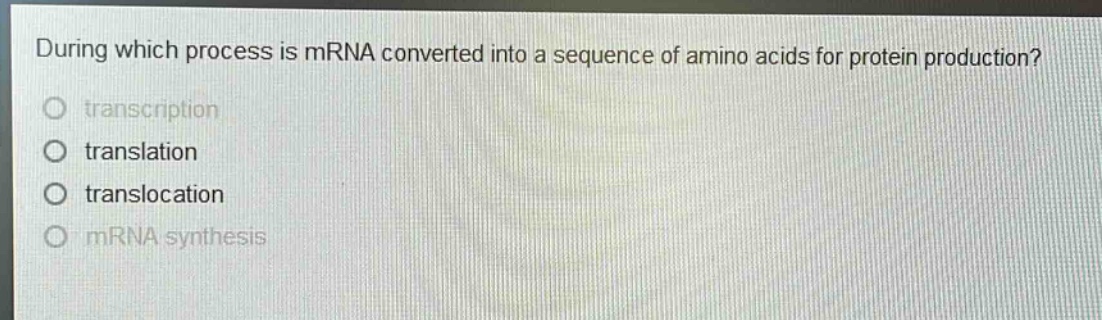 during which process is mrna converted into a sequence of amino acids for protein production?\no transcription\no translation\no translocation\no mrna synthesis