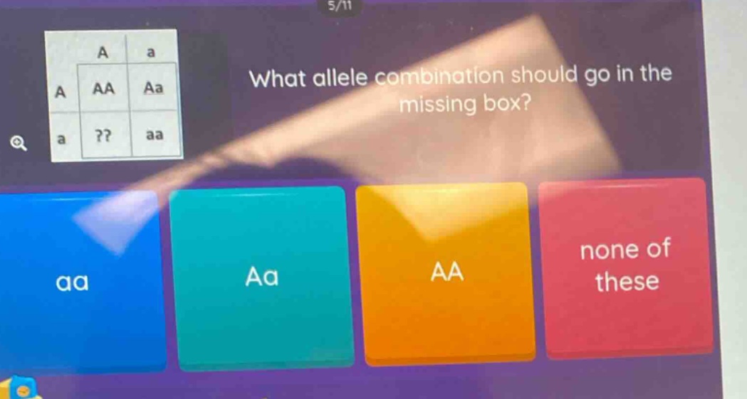 what allele combination should go in the missing box? aa aa aa none of these