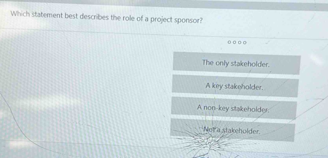 which statement best describes the role of a project sponsor? the only stakeholder. a key stakeholder. a non - key stakeholder. not a stakeholder.