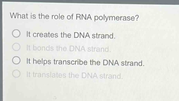 what is the role of rna polymerase? it creates the dna strand. it bonds the dna strand. it helps transcribe the dna strand. it translates the dna strand.