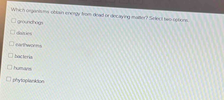 which organisms obtain energy from dead or decaying matter? select two options. groundhogs daisies earthworms bacteria humans phytoplankton