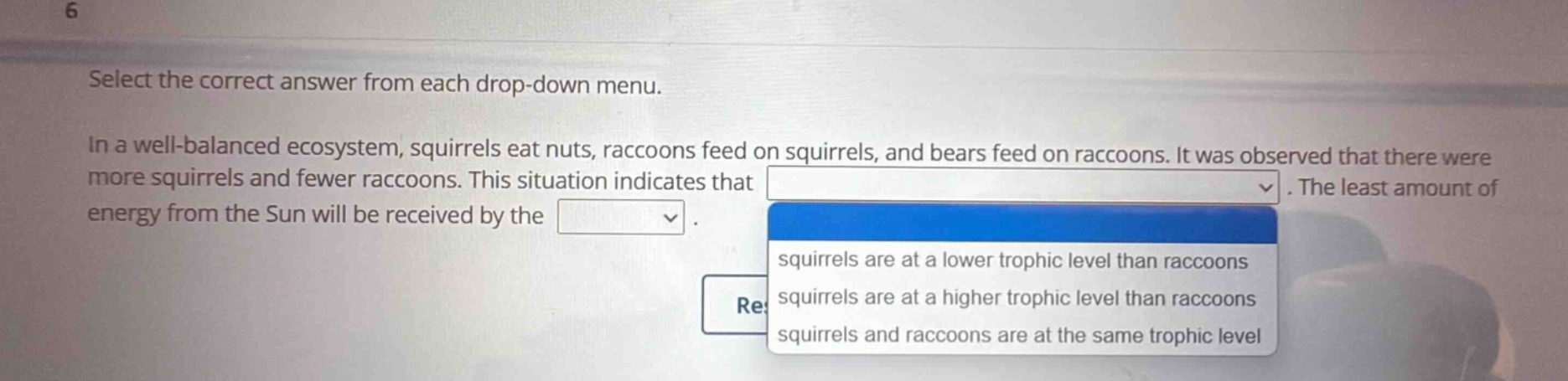 select the correct answer from each drop - down menu. in a well - balanced ecosystem, squirrels eat nuts, raccoons feed on squirrels, and bears feed on raccoons. it was observed that there were more squirrels and fewer raccoons. this situation indicates that. the least amount of energy from the sun will be received by the. squirrels are at a lower trophic level than raccoons squirrels are at a higher trophic level than raccoons squirrels and raccoons are at the same trophic level