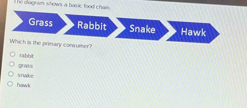 the diagram shows a basic food chain. grass rabbit snake hawk which is the primary consumer? rabbit grass snake hawk