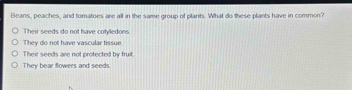 beans, peaches, and tomatoes are all in the same group of plants. what do these plants have in common? their seeds do not have cotyledons. they do not have vascular tissue. their seeds are not protected by fruit. they bear flowers and seeds.