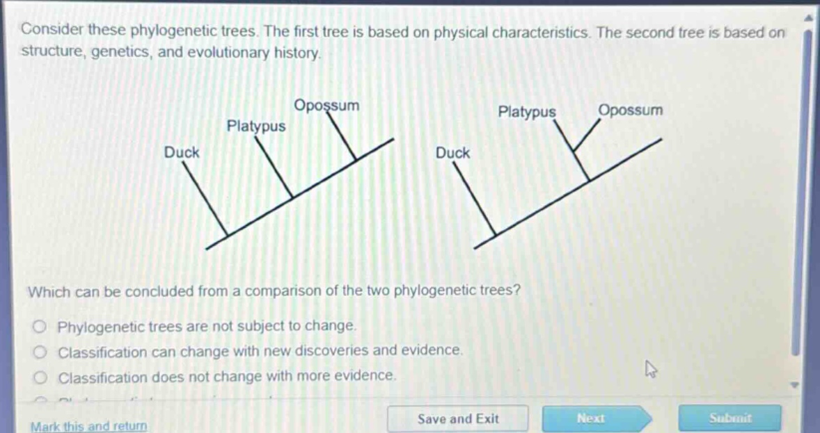 consider these phylogenetic trees. the first tree is based on physical characteristics. the second tree is based on structure, genetics, and evolutionary history. which can be concluded from a comparison of the two phylogenetic trees? phylogenetic trees are not subject to change. classification can change with new discoveries and evidence. classification does not change with more evidence.