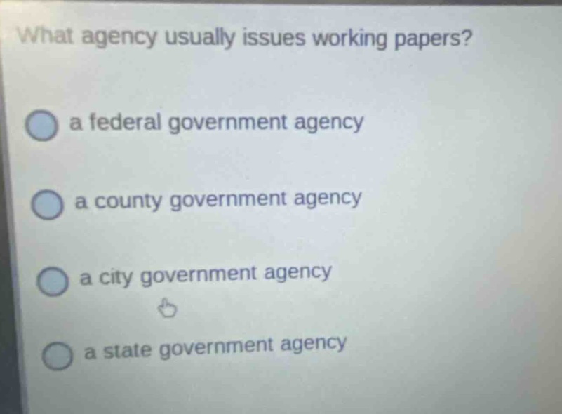what agency usually issues working papers? a federal government agency a county government agency a city government agency a state government agency
