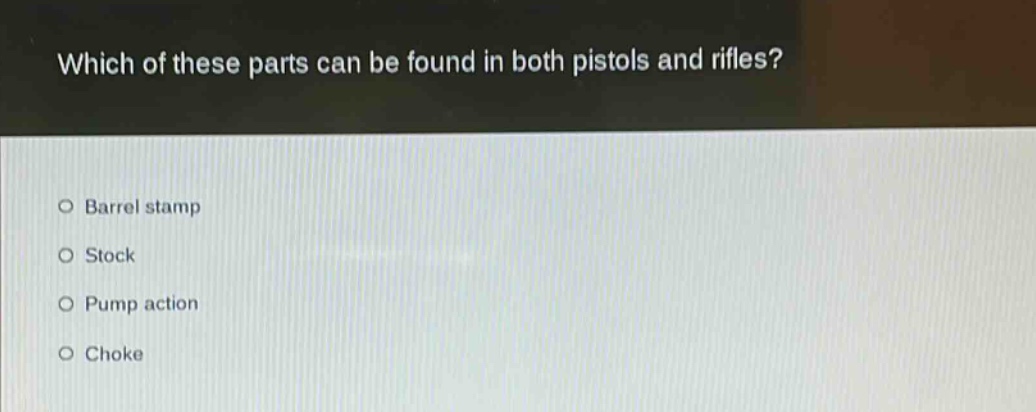 which of these parts can be found in both pistols and rifles?\no barrel stamp\no stock\no pump action\no choke