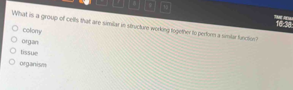 what is a group of cells that are similar in structure working together to perform a similar function?\ncolony\norgan\ntissue\norganism