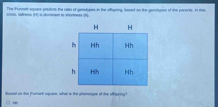 the punnett square predicts the ratio of genotypes in the offspring, based on the genotypes of the parents. in this cross, tallness (h) is dominant to shortness (h). based on the punnett square, what is the phenotype of the offspring? o hh
