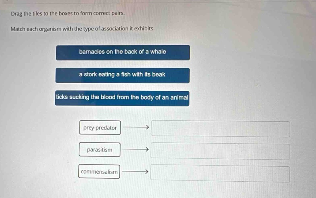drag the tiles to the boxes to form correct pairs. match each organism with the type of association it exhibits. barnacles on the back of a whale a stork eating a fish with its beak ticks sucking the blood from the body of an animal prey - predator parasitism commensalism