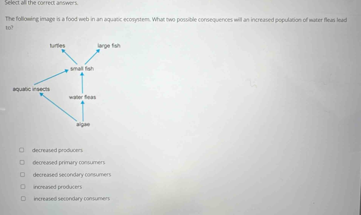 select all the correct answers. the following image is a food web in an aquatic ecosystem. what two possible consequences will an increased population of water fleas lead to? turtles large fish small fish aquatic insects water fleas algae decreased producers decreased primary consumers decreased secondary consumers increased producers increased secondary consumers