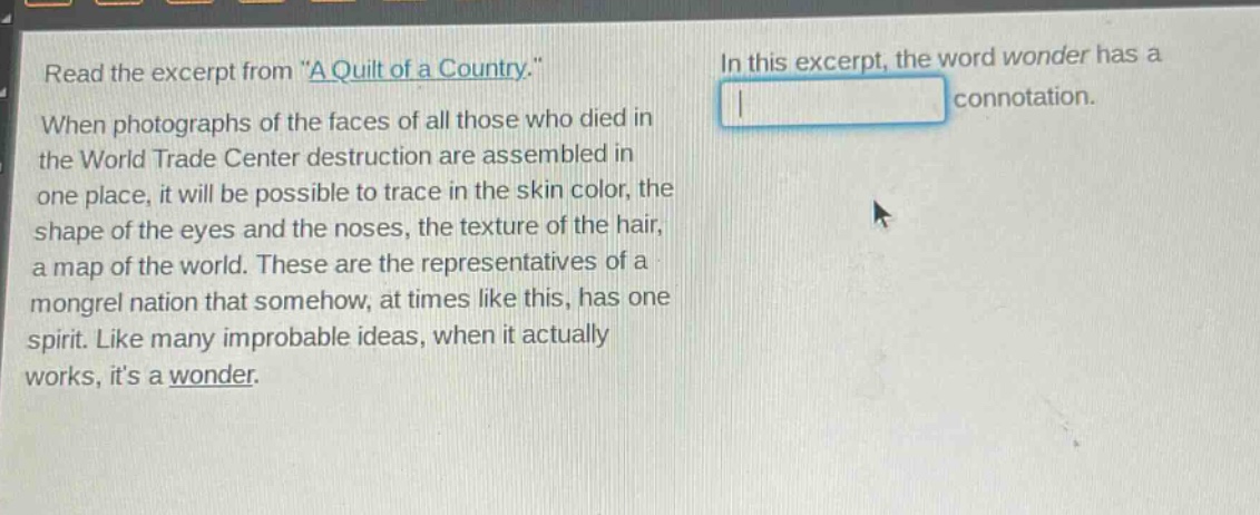 read the excerpt from \a quilt of a country.\ when photographs of the faces of all those who died in the world trade center destruction are assembled in one place, it will be possible to trace in the skin color, the shape of the eyes and the noses, the texture of the hair, a map of the world. these are the representatives of a mongrel nation that somehow, at times like this, has one spirit. like many improbable ideas, when it actually works, its a wonder. in this excerpt, the word wonder has a connotation.