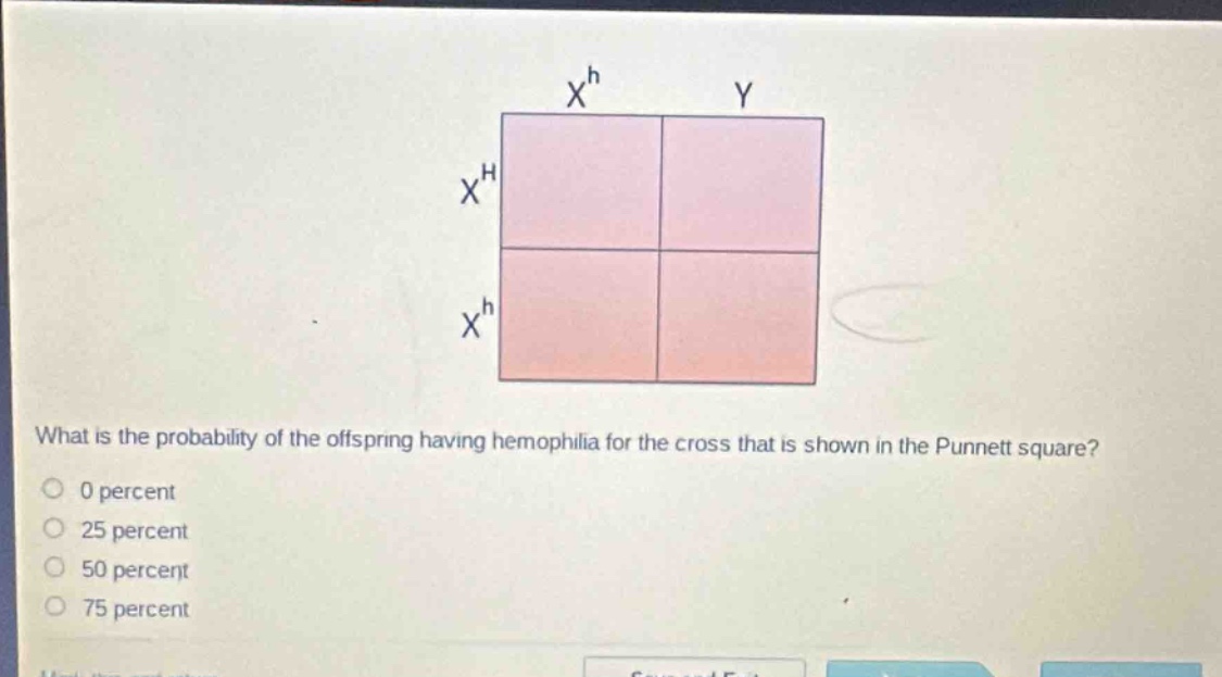 what is the probability of the offspring having hemophilia for the cross that is shown in the punnett square? 0 percent 25 percent 50 percent 75 percent