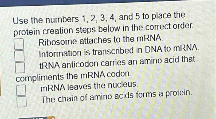 use the numbers 1, 2, 3, 4, and 5 to place the protein creation steps below in the correct order. ribosome attaches to the mrna. information is transcribed in dna to mrna. trna anticodon carries an amino acid that compliments the mrna codon. mrna leaves the nucleus. the chain of amino acids forms a protein.