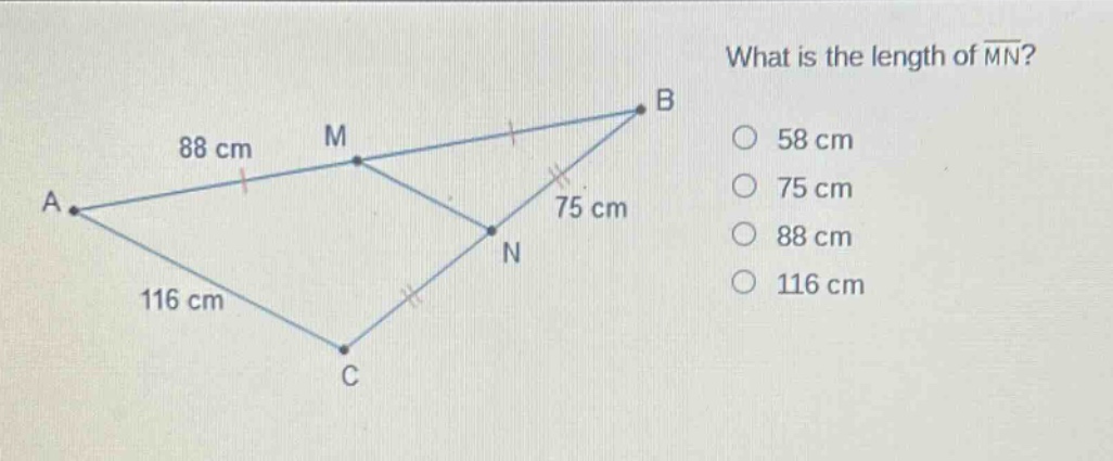what is the length of mn? 58 cm 75 cm 88 cm 116 cm