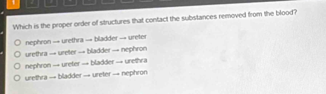 which is the proper order of structures that contact the substances removed from the blood?\no nephron → urethra → bladder → ureter\no urethra → ureter → bladder → nephron\no nephron → ureter → bladder → urethra\no urethra → bladder → ureter → nephron