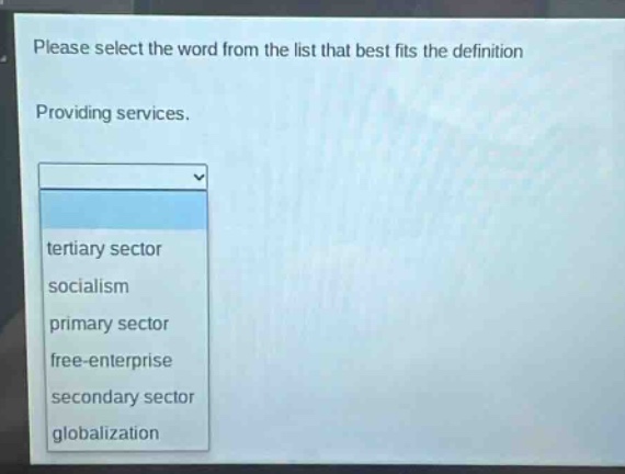 please select the word from the list that best fits the definition. providing services. tertiary sector socialism primary sector free - enterprise secondary sector globalization