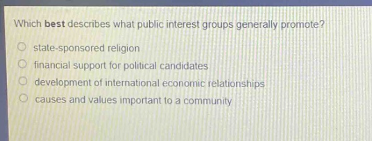 which best describes what public interest groups generally promote?\nstate - sponsored religion\nfinancial support for political candidates\ndevelopment of international economic relationships\ncauses and values important to a community