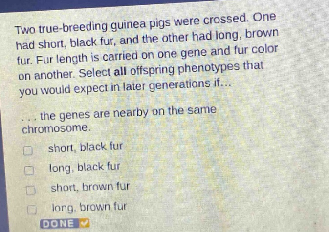 two true - breeding guinea pigs were crossed. one had short, black fur, and the other had long, brown fur. fur length is carried on one gene and fur color on another. select all offspring phenotypes that you would expect in later generations if... the genes are nearby on the same chromosome. short, black fur long, black fur short, brown fur long, brown fur done