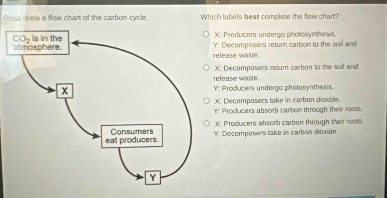 rosa drew a flow chart of the carbon cycle. which labels best complete the flow chart? co₂ is in the atmosphere. x: producers undergo photosynthesis. y: decomposers return carbon to the soil and release waste. x: decomposers return carbon to the soil and release waste. y: producers undergo photosynthesis. x: decomposers take in carbon dioxide. y: producers absorb carbon through their roots. x: producers absorb carbon through their roots. y: decomposers take in carbon dioxide. consumers eat producers.