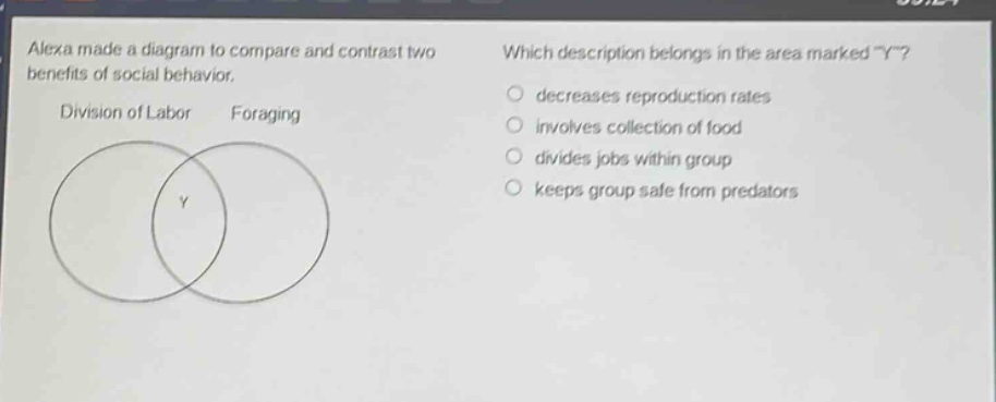alexa made a diagram to compare and contrast two benefits of social behavior. division of labor foraging which description belongs in the area marked \y\? decreases reproduction rates involves collection of food divides jobs within group keeps group safe from predators