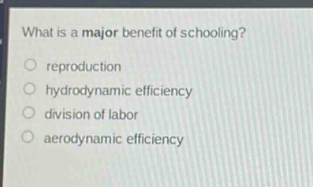 what is a major benefit of schooling?\nreproduction\nhydrodynamic efficiency\ndivision of labor\naerodynamic efficiency