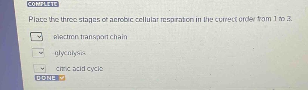 place the three stages of aerobic cellular respiration in the correct order from 1 to 3. electron transport chain glycolysis citric acid cycle