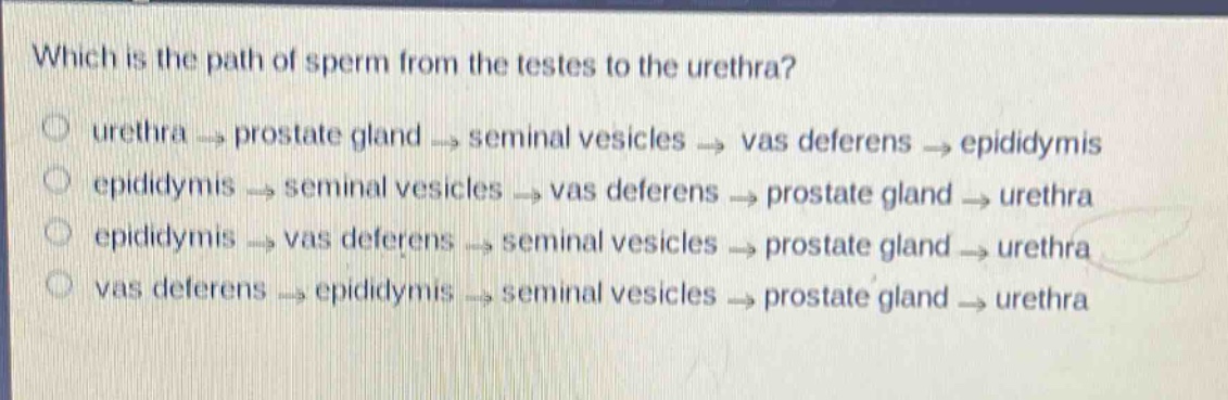 which is the path of sperm from the testes to the urethra?\nurethra → prostate gland → seminal vesicles → vas deferens → epididymis\n epididymis → seminal vesicles → vas deferens → prostate gland → urethra\n epididymis → vas deferens → seminal vesicles → prostate gland → urethra\n vas deferens → epididymis → seminal vesicles → prostate gland → urethra