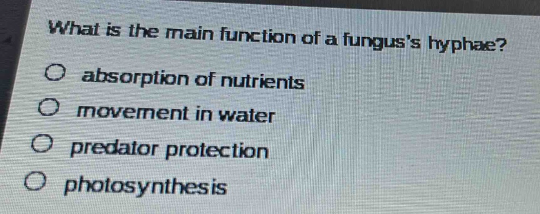 what is the main function of a funguss hyphae?\nabsorption of nutrients\nmovement in water\npredator protection\nphotosynthesis