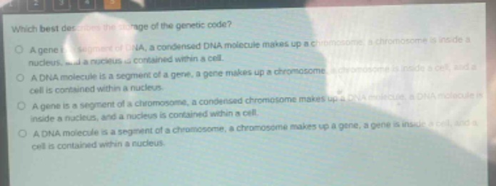 which best describes the storage of the genetic code?\na gene is a segment of dna, a condensed dna molecule makes up a chromosome, a chromosome is inside a nucleus, and a nucleus is contained within a cell.\na dna molecule is a segment of a gene, a gene makes up a chromosome, a chromosome is inside a cell, and a cell is contained within a nucleus.\na gene is a segment of a chromosome, a condensed chromosome makes up a dna molecule, a dna molecule is inside a nucleus, and a nucleus is contained within a cell.\na dna molecule is a segment of a chromosome, a chromosome makes up a gene, a gene is inside a cell, and a cell is contained within a nucleus.