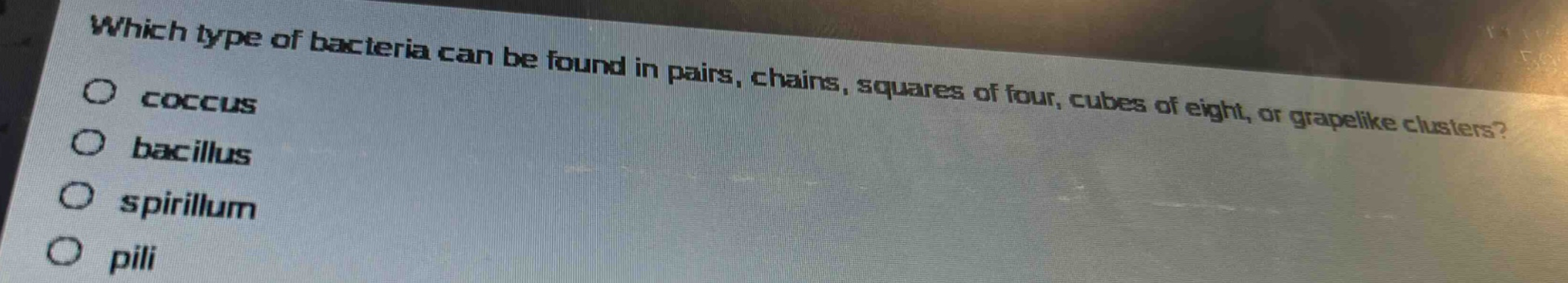 which type of bacteria can be found in pairs, chains, squares of four, cubes of eight, or grapelike clusters?\no coccus\no bacillus\no spirillum\no pili