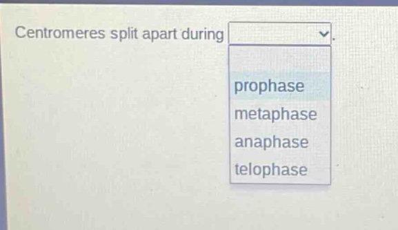 centromeres split apart during prophase metaphase anaphase telophase
