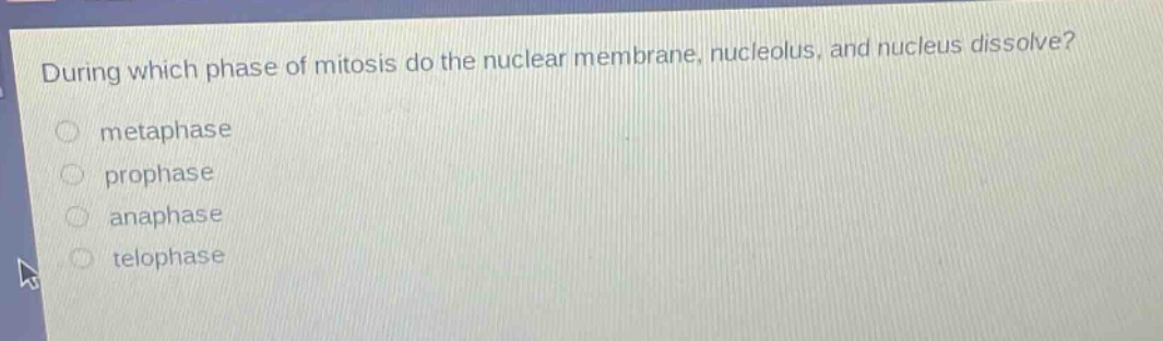 during which phase of mitosis do the nuclear membrane, nucleolus, and nucleus dissolve?\nmetaphase\nprophase\nanaphase\nteleophase