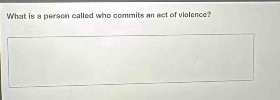 what is a person called who commits an act of violence?